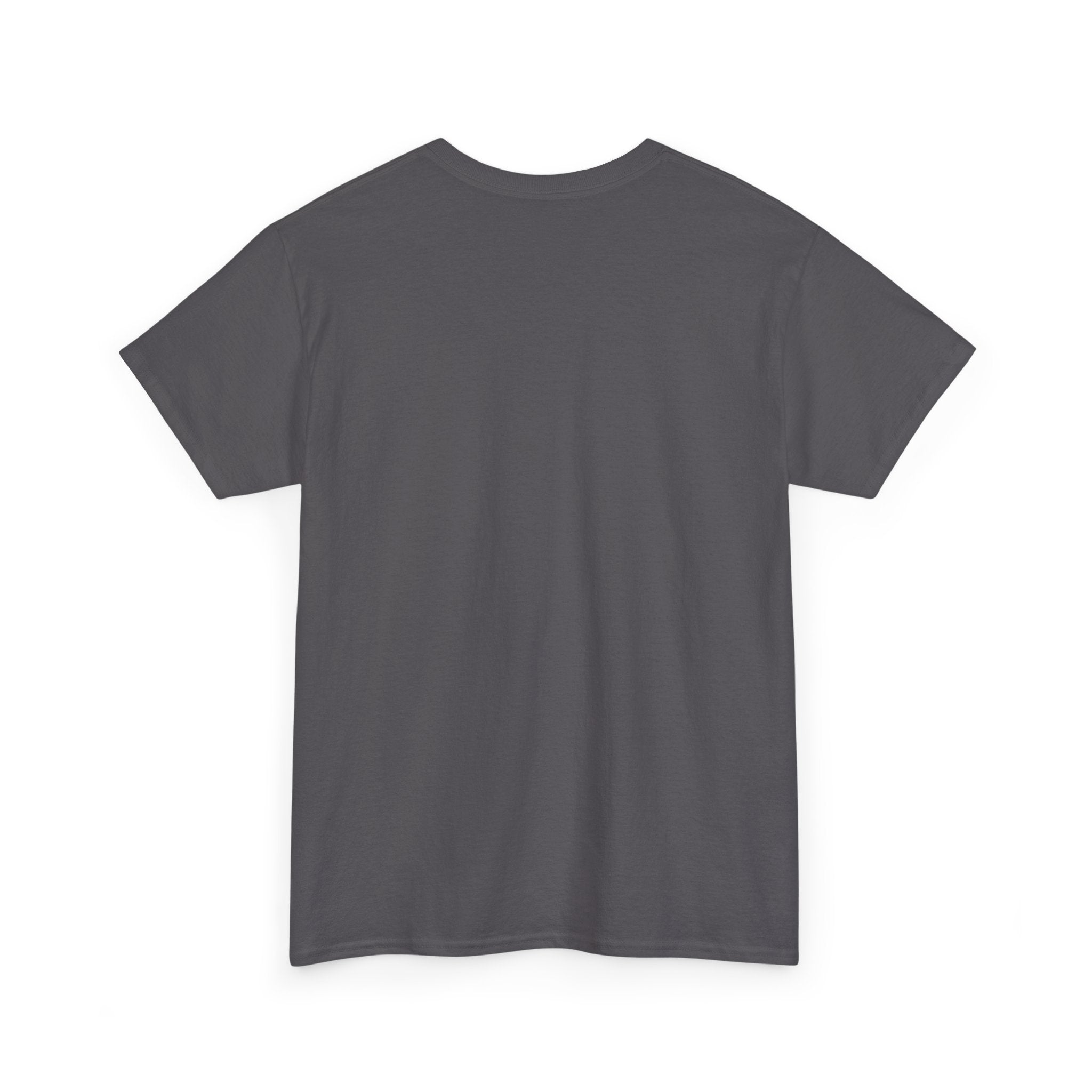 Immigrants Built America Tee - Multiple colors available