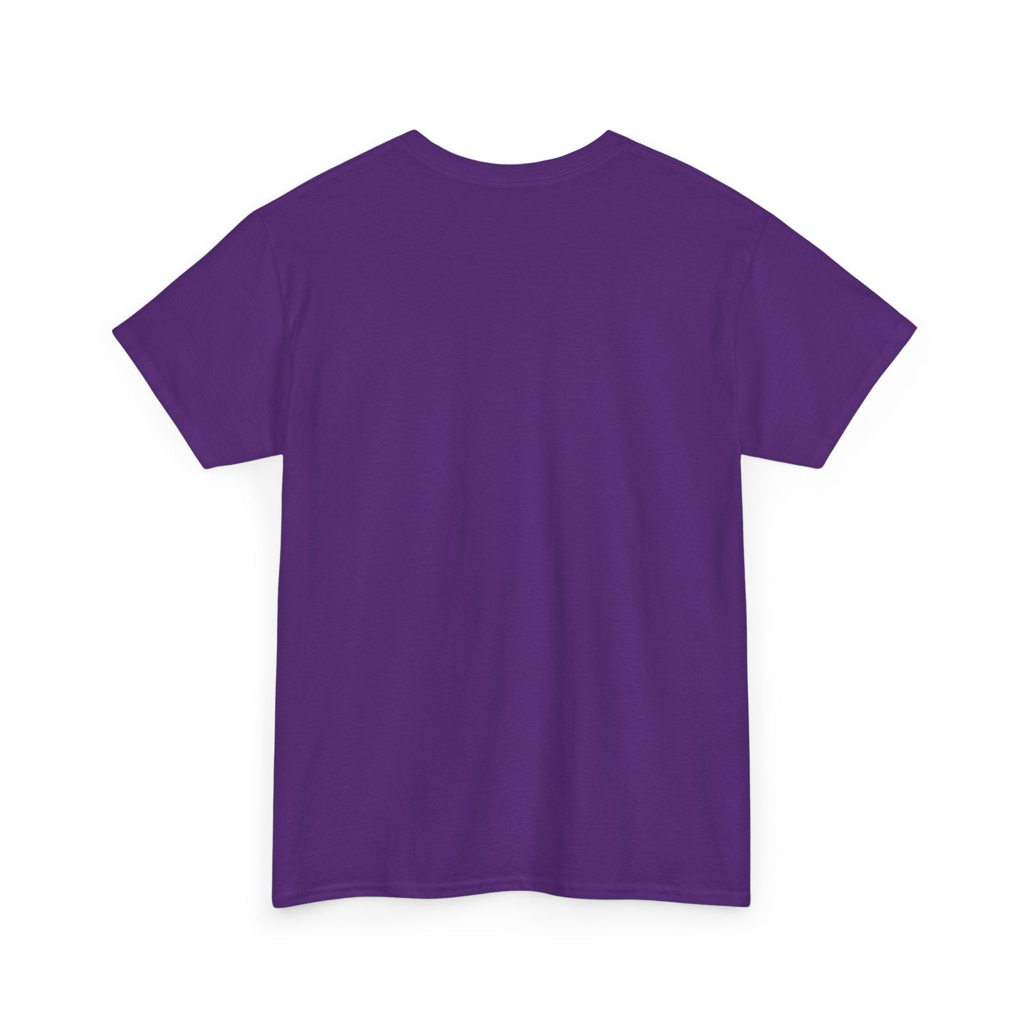 Immigrants Built America Tee - Multiple colors available